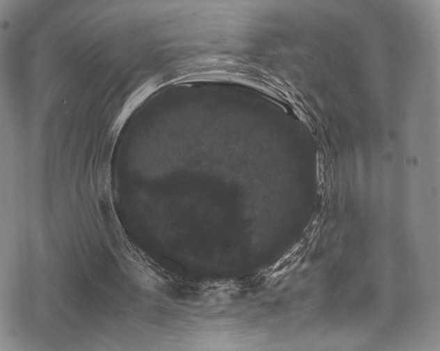 X0000072500099200607141139