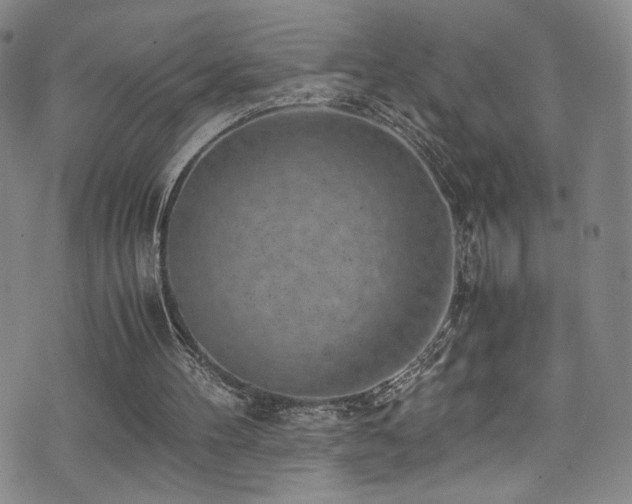 X0000072500100200607141139