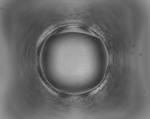 X0000072500101200607141139