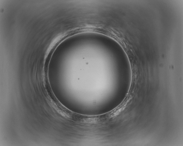 X0000072500102200607141139