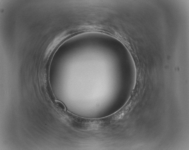 X0000072500103200607141139