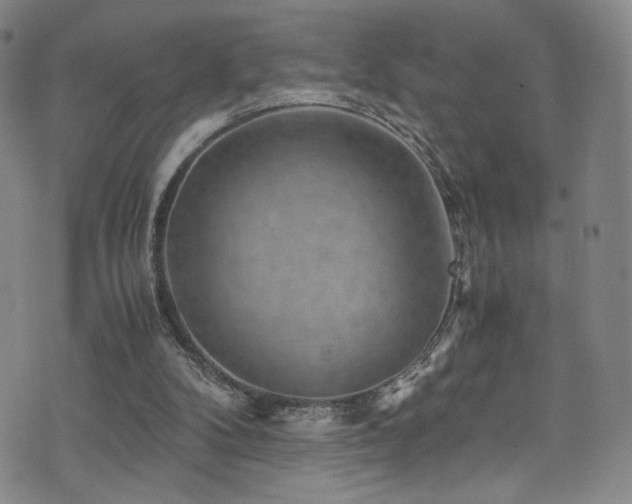 X0000072500104200607141139