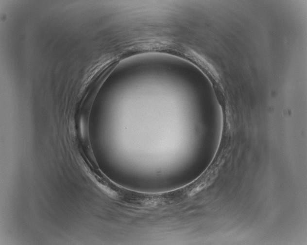 X0000072500105200607141139