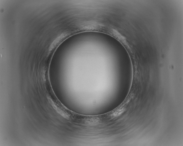 X0000072500106200607141139