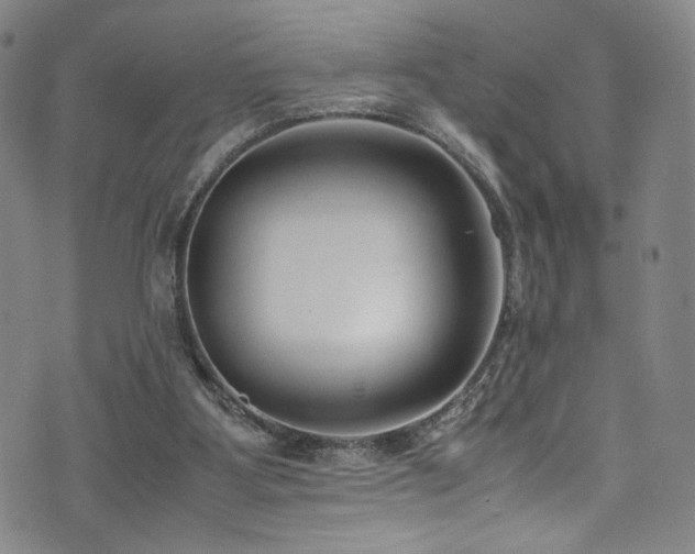 X0000072500107200607141139