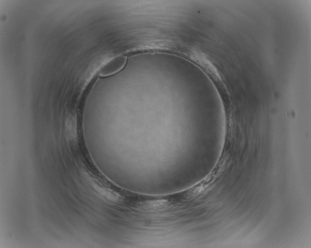 X0000072500108200607141139