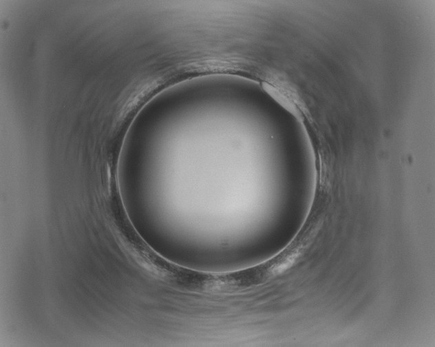 X0000072500109200607141139