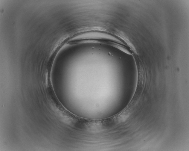 X0000072500110200607141139