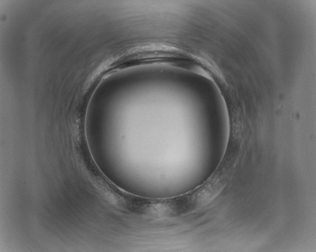 X0000072500111200607141139