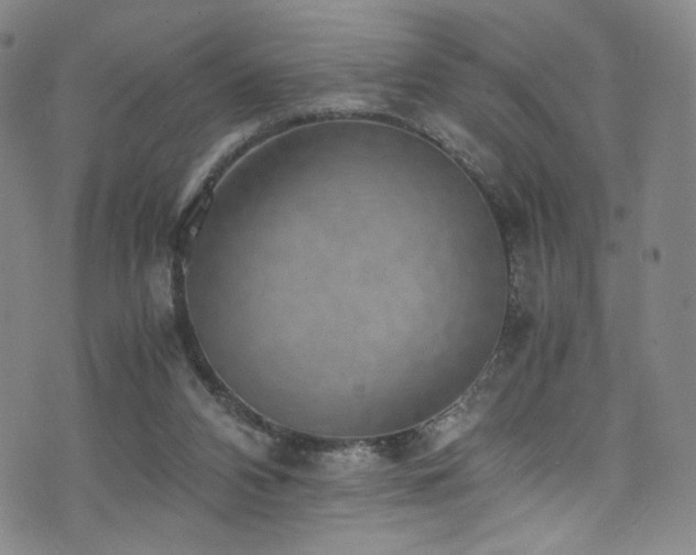 X0000072500112200607141139