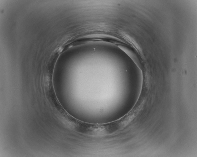 X0000072500113200607141139