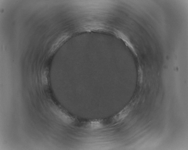 X0000072500114200607141139