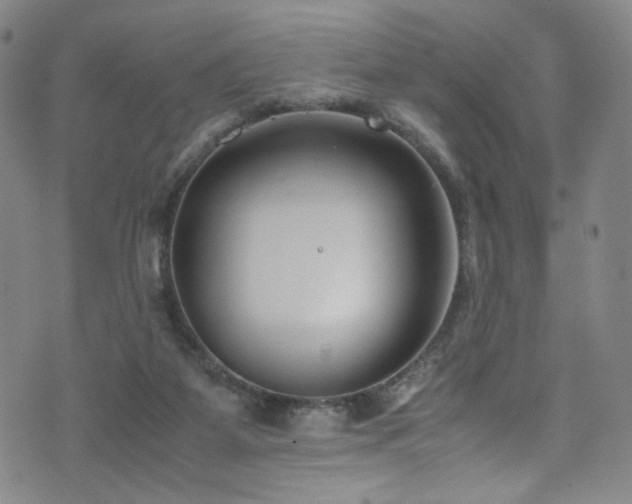 X0000072500115200607141139