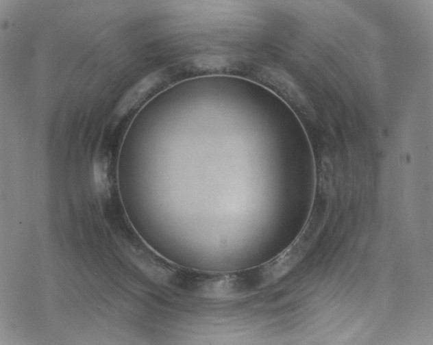 X0000072500116200607141139