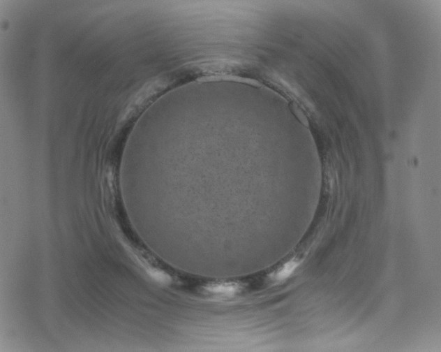 X0000072500117200607141139