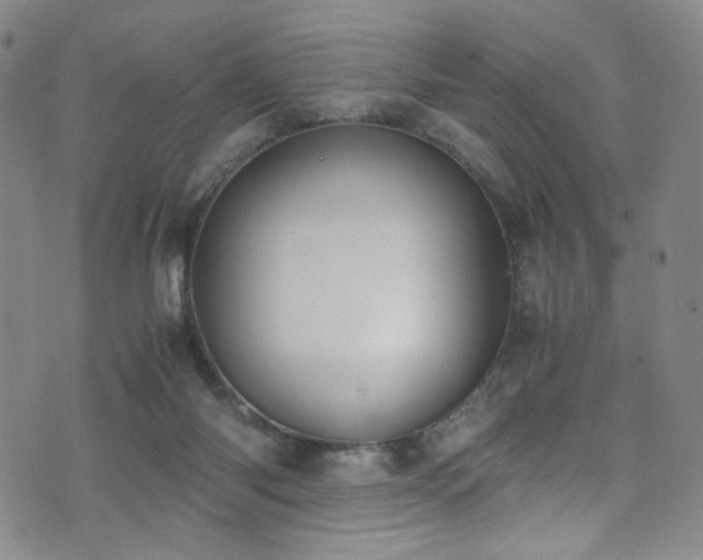 X0000072500118200607141139