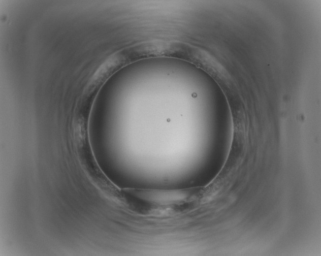 X0000072500119200607141139