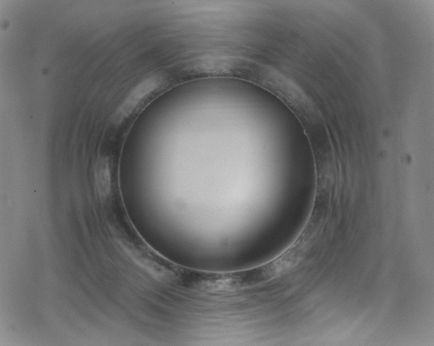 X0000072500120200607141139