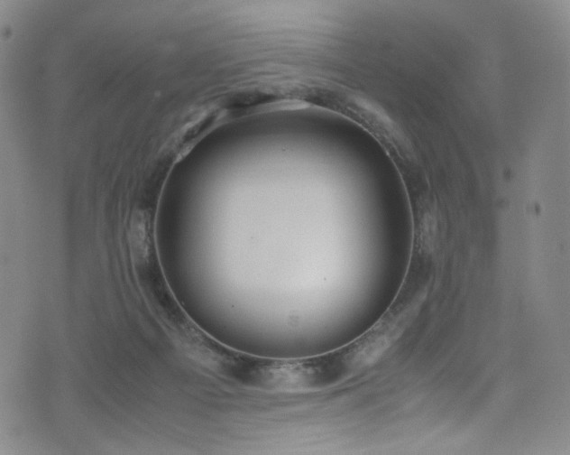 X0000072500121200607141139