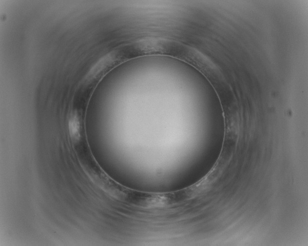 X0000072500124200607141139