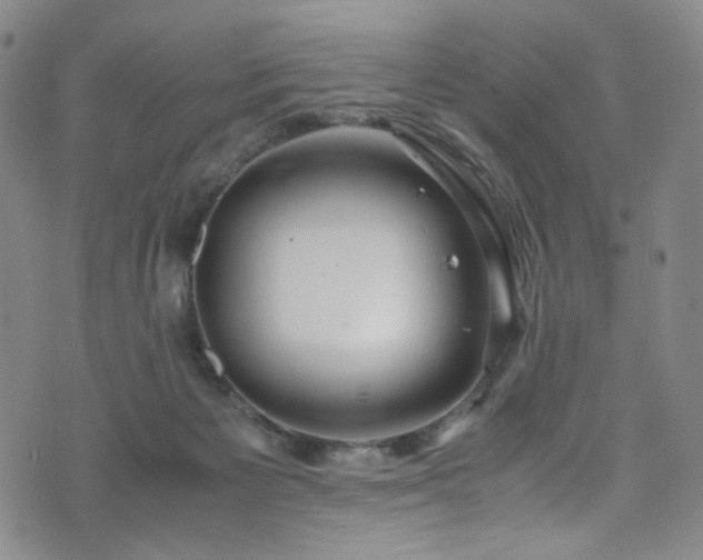 X0000072500125200607141139