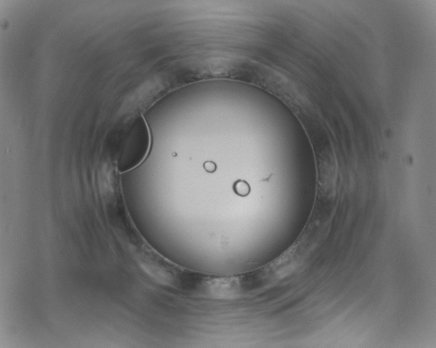 X0000072500126200607141139