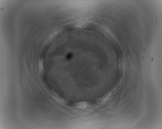 X0000072500127200607141139