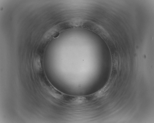 X0000072500128200607141139