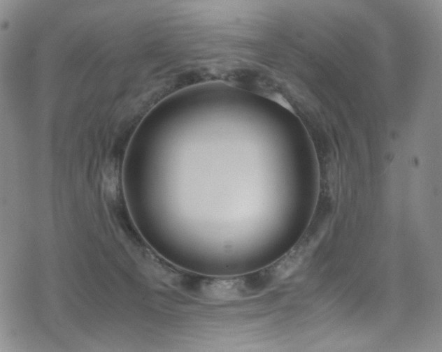 X0000072500129200607141139