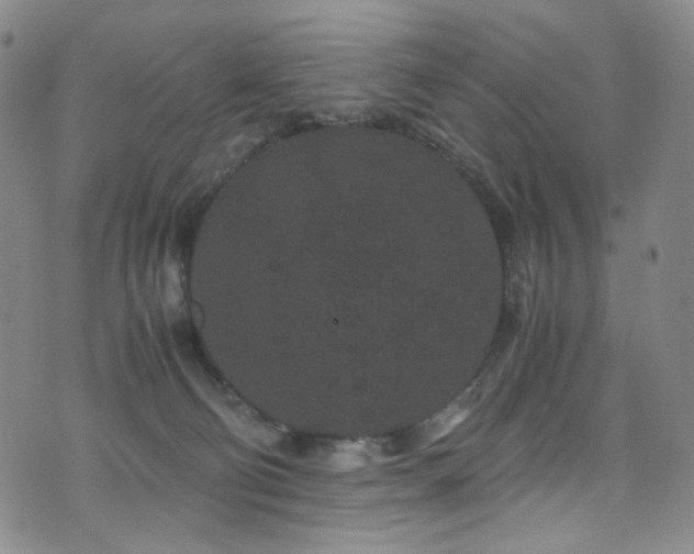 X0000072500130200607141139