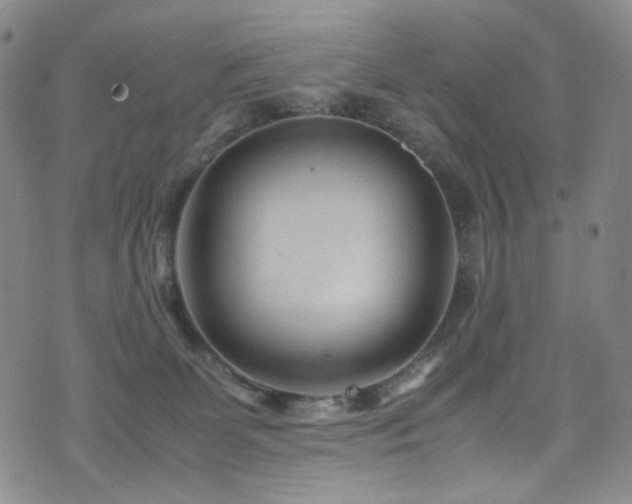 X0000072500131200607141139