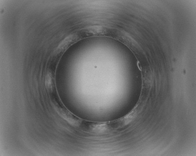 X0000072500132200607141139