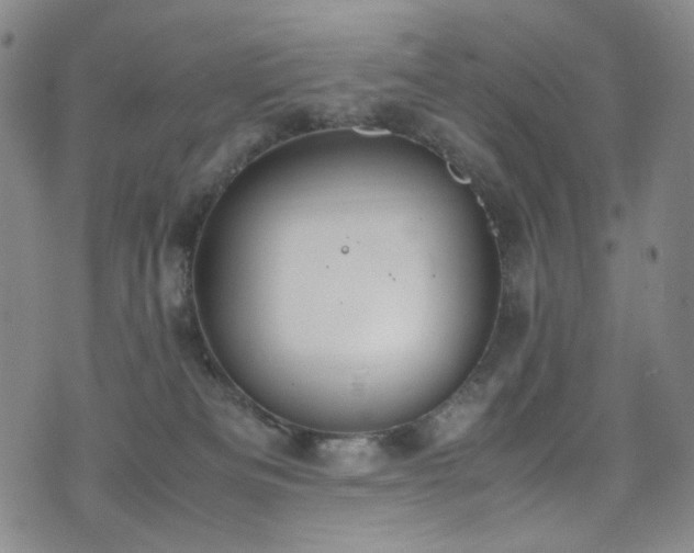 X0000072500133200607141139