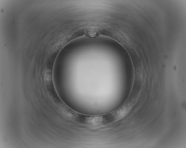 X0000072500135200607141139