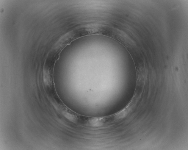 X0000072500136200607141139