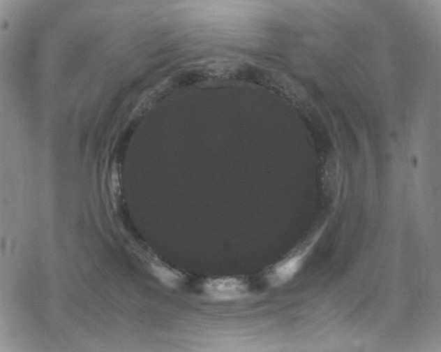 X0000072500137200607141139