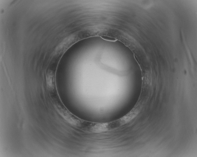 X0000072500138200607141139