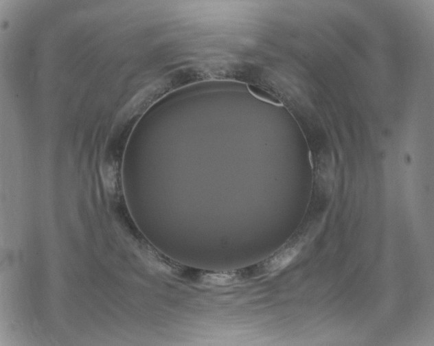 X0000072500139200607141139