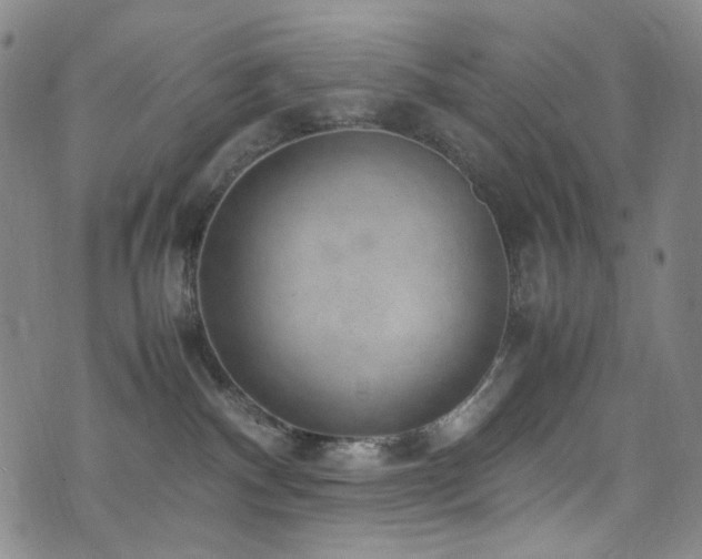 X0000072500140200607141139