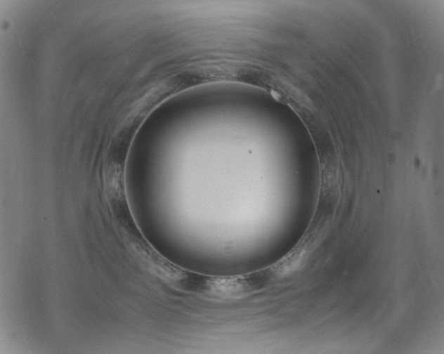 X0000072500141200607141139