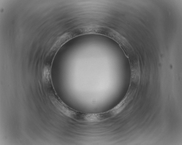 X0000072500142200607141139