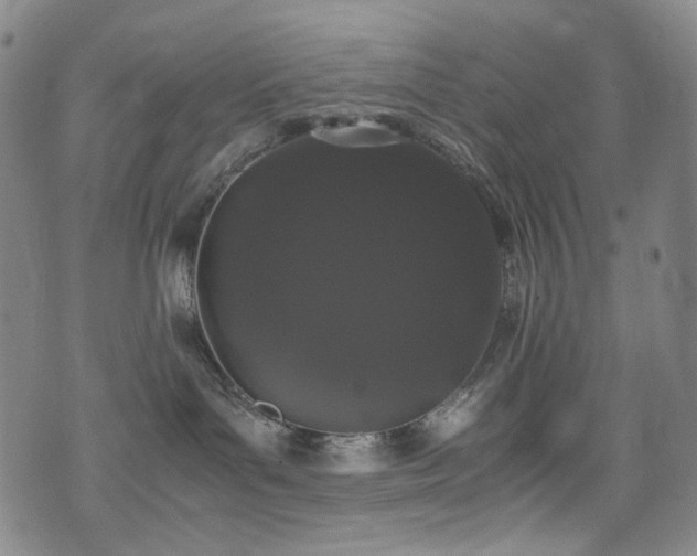 X0000072500143200607141139