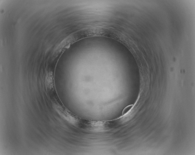 X0000072500144200607141139