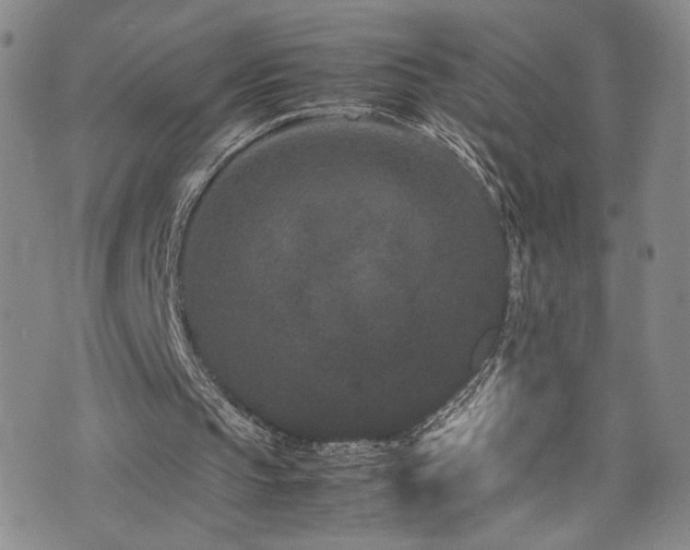 X0000072500145200607141138