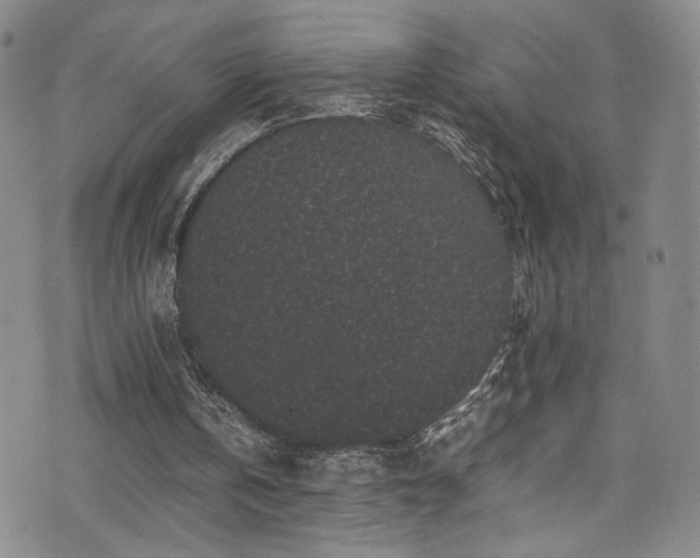 X0000072500146200607141138