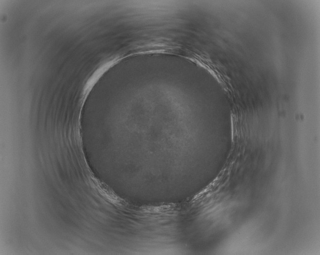 X0000072500147200607141138