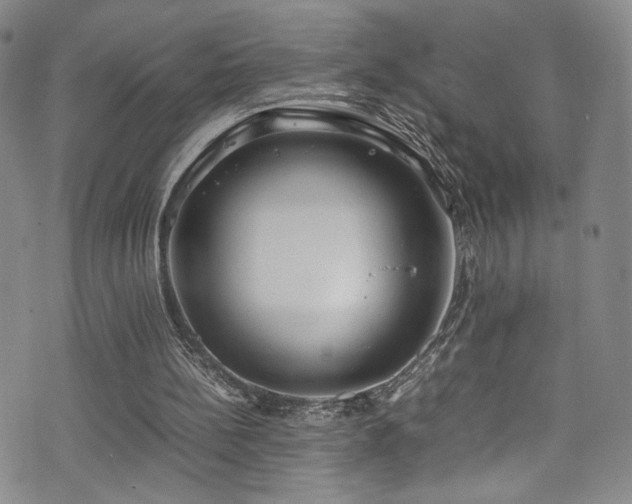 X0000072500148200607141138