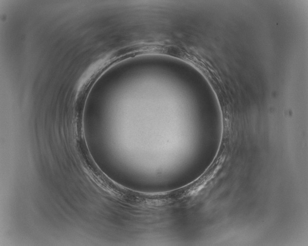 X0000072500149200607141138