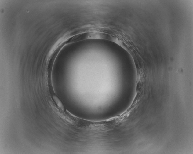 X0000072500150200607141138