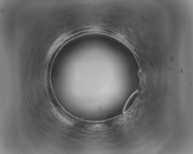 X0000072500151200607141138